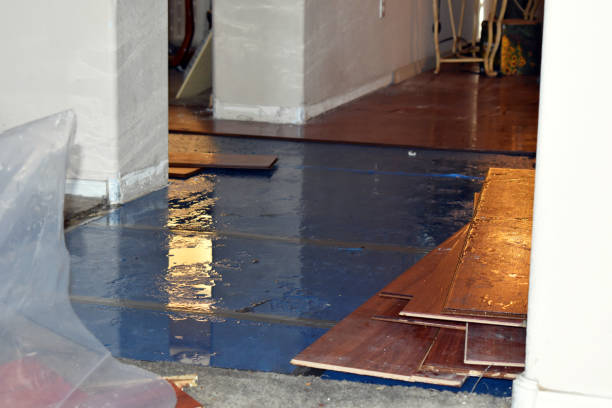 Professional Sewage Cleanup technician working in Powell, TX